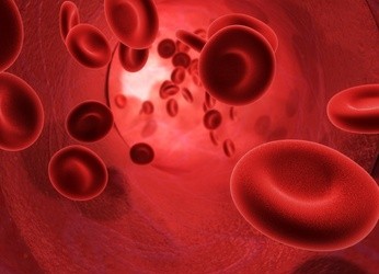 Globules rouges-Santé au travail