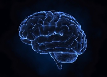 Cerveau-Santé au travail