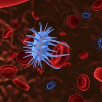 Virus dans le sang-Santé au travail