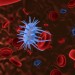 Virus dans le sang-Santé au travail