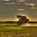Travaux agricoles